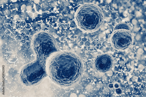 Fotografie Bacteria or cells under a microscope