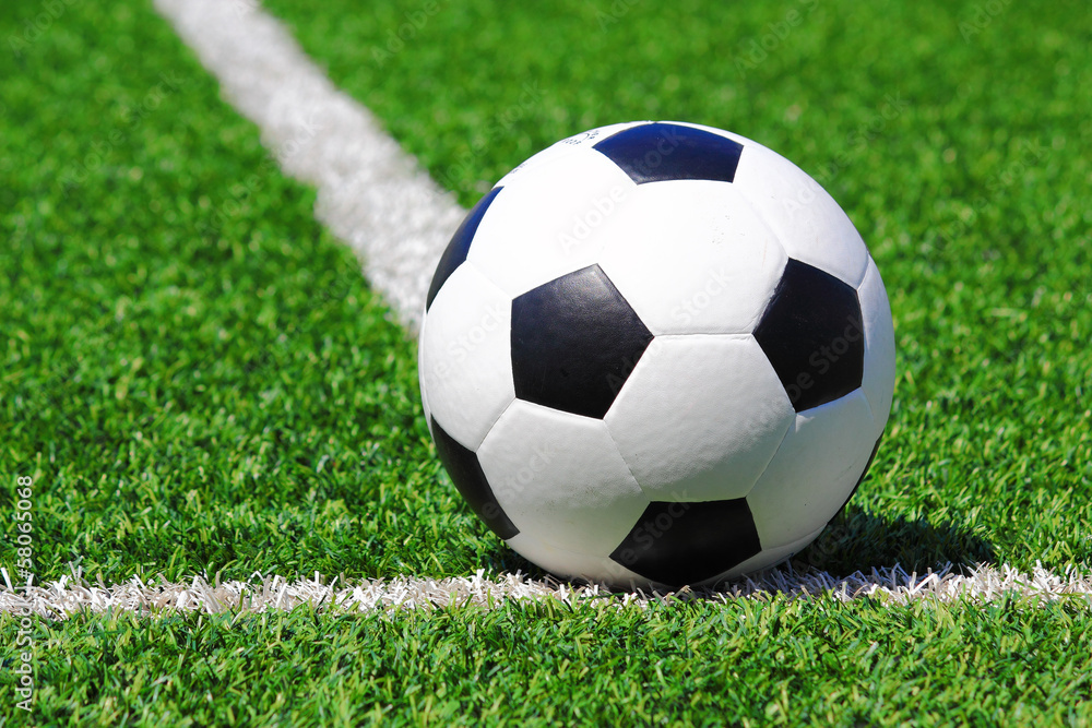kicking the ball in the game kicking the ball in the game