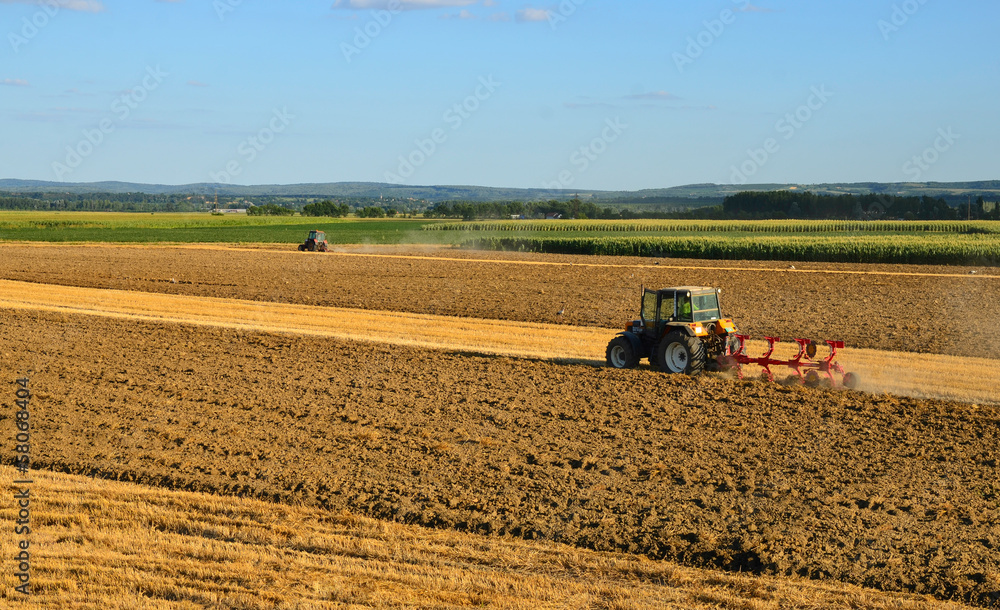 Fototapeta premium Two tractors working on a field