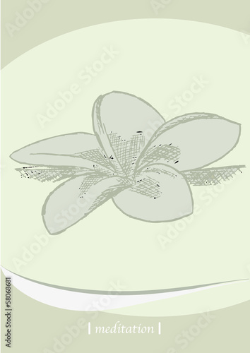 Blume Wellness Meditation