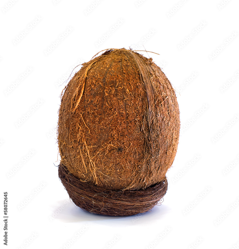 cocoanut cocoanut
