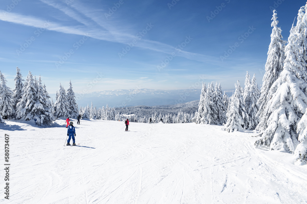 Ski Slope with a beautiful Winter Panorama