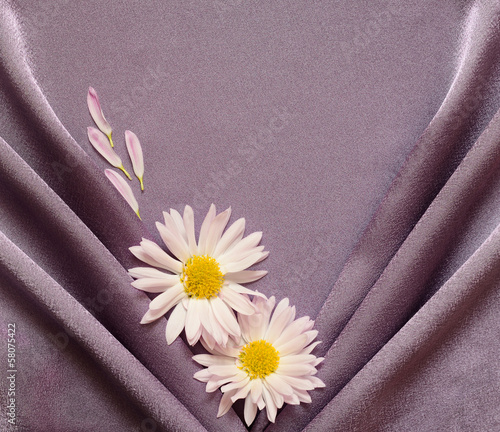 Purple satin fabric with da...