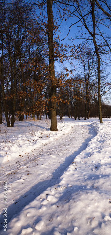 the winter road