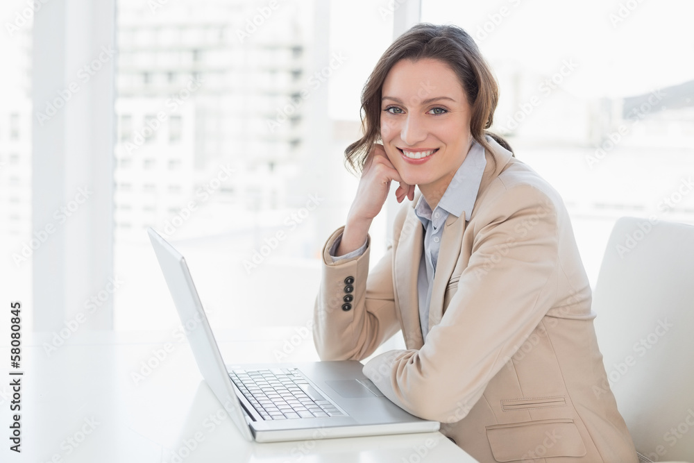 Smiling young businesswoman with laptop in office Smiling young businesswoman with laptop in office