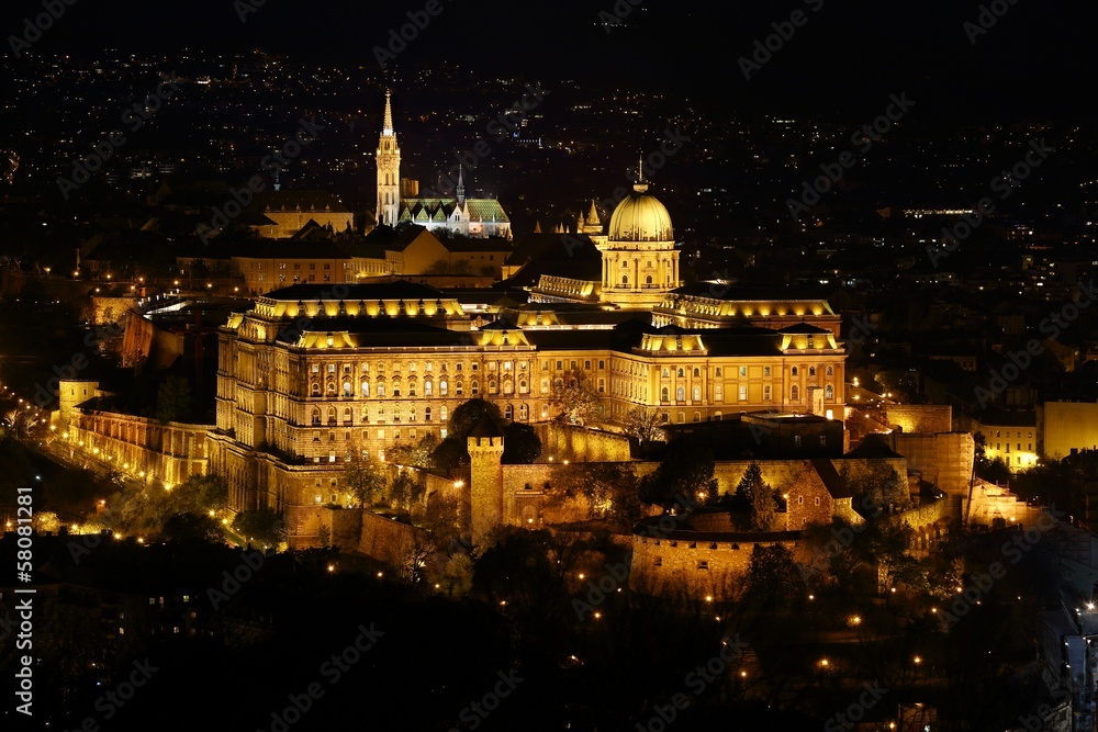Fototapeta premium Castle of Buda