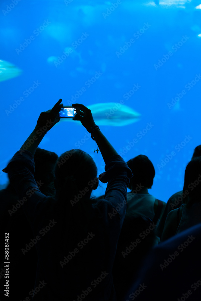 Person taking a photograph to the fishes in aquarium.