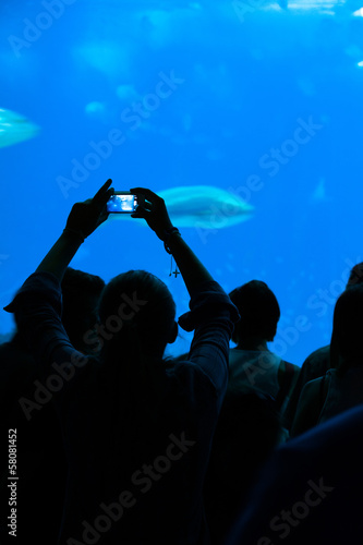 Person taking a photograph to the fishes in aquarium.