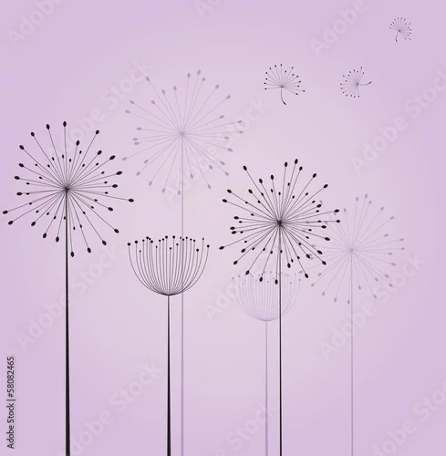 Obraz Kwiaty mniszka lekarskiego