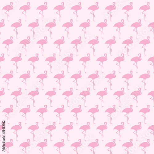 Flamingos
