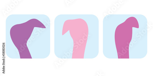 Flamingos