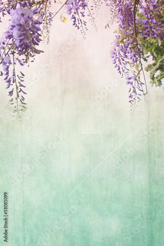 Grungy background with floral border