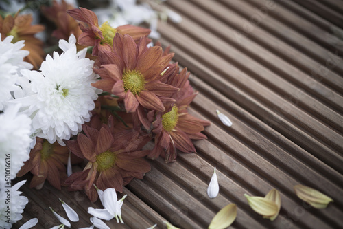 Wilted dying flowers with fallen petals photo