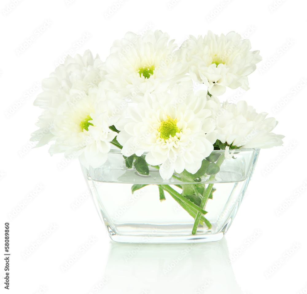 Beautiful flowers in bowl isolated on white