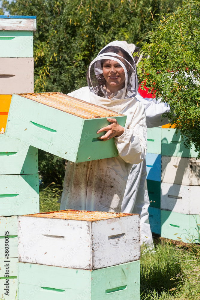 Portrait Of Beekeeper Working At Apiary
