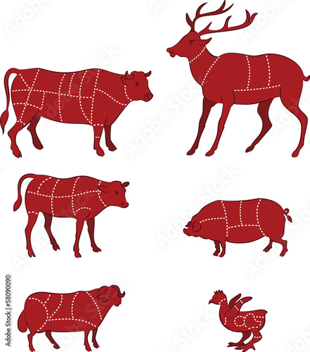 Diagram Guide for Cutting Meat
