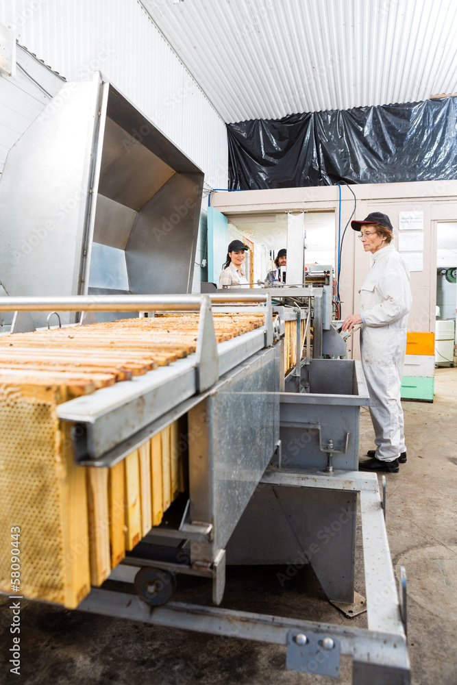 Beekeepers Working On Honey Extraction Plant Beekeepers Working On Honey Extraction Plant
