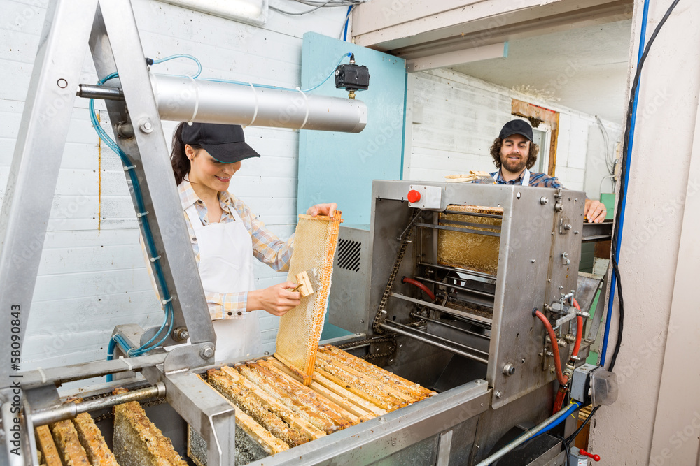 Beekeepers Working At Honey Extraction Plant Beekeepers Working At Honey Extraction Plant