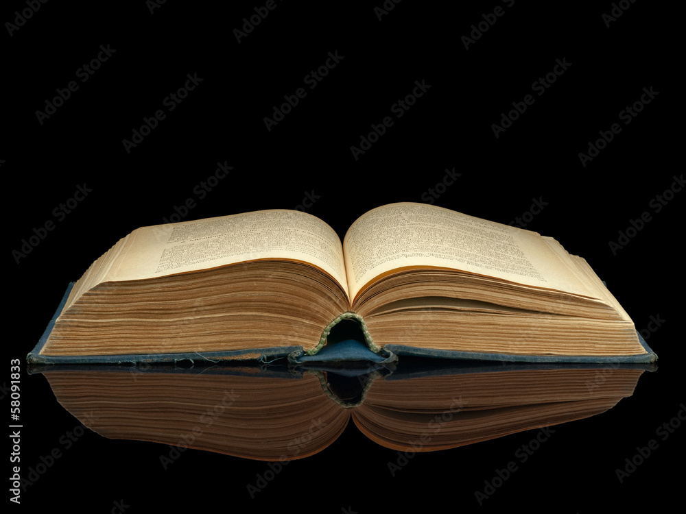 Fototapeta premium The opened book