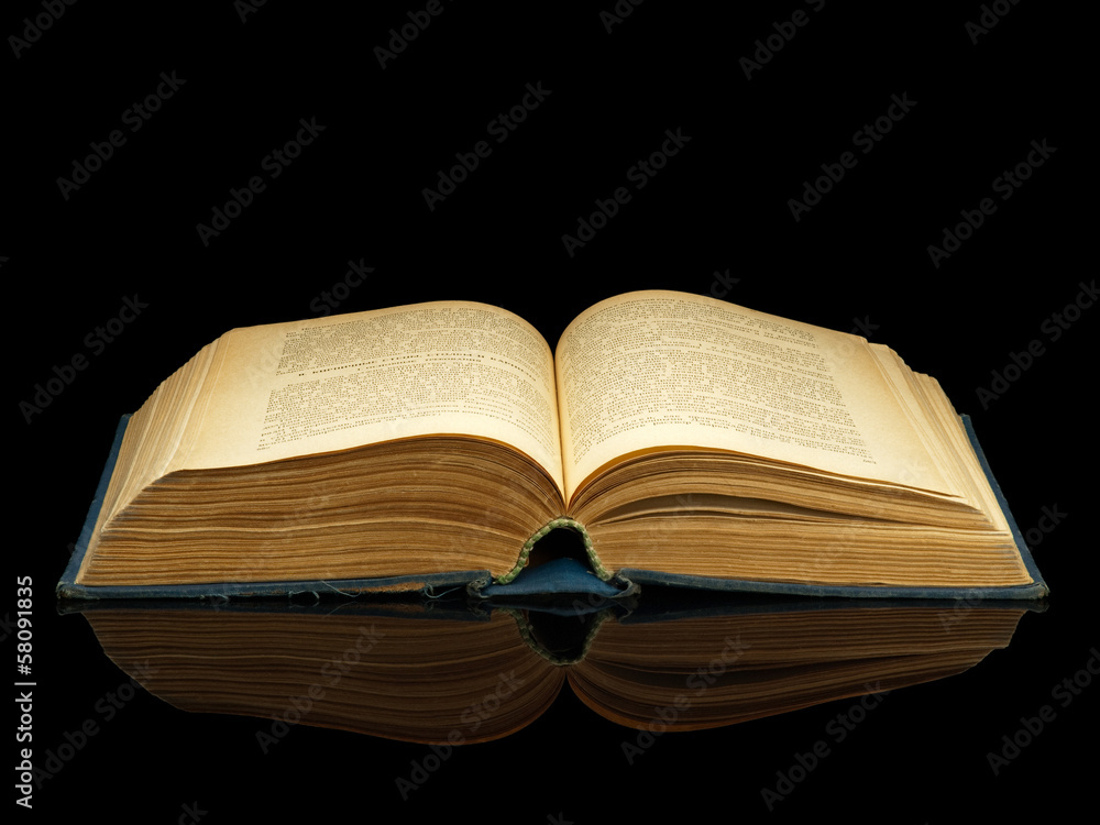 Obraz premium The opened book