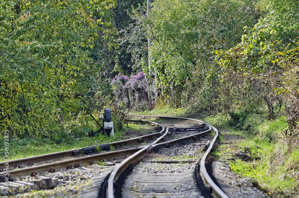 Fototapeta premium Train turn in the tunnel of plants
