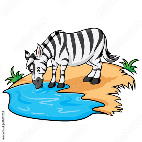 Zebra Cartoon