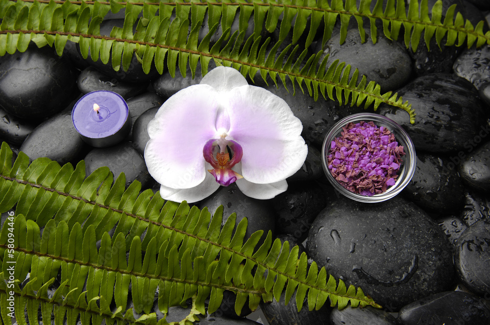 White orchid with fern and candle salt in bowl on pebbles White orchid with fern and candle salt in bowl on pebbles