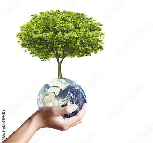 earth globe and tree in his hand