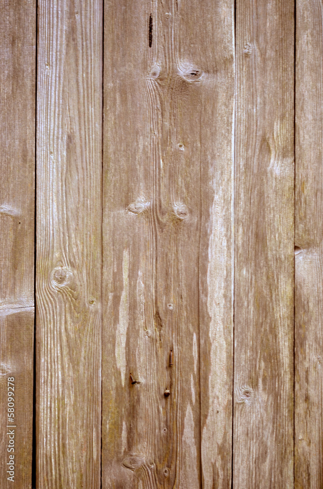 altes Holz Brett Holzwurm altes Holz Brett Holzwurm