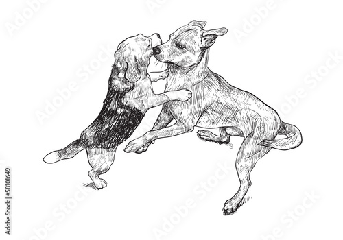 Teasing  play of two dogs