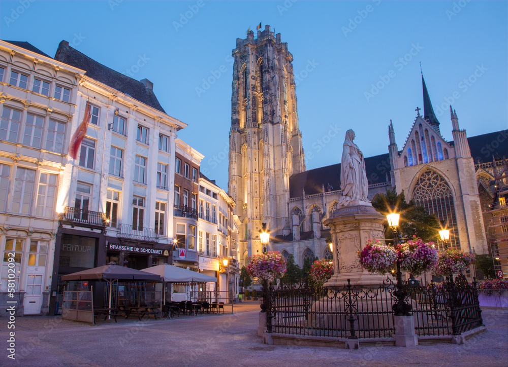 Mechelen - St. Rumbold's cathedral in dusk