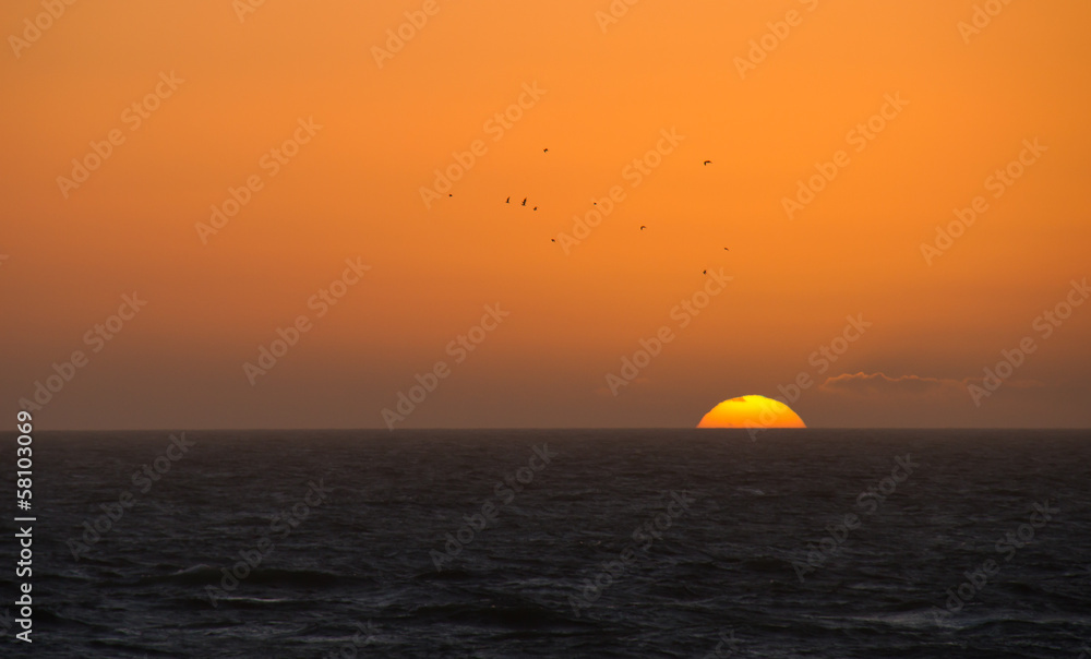 Sunset and Gulls