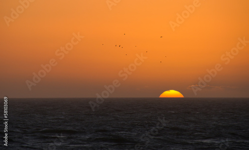 Fototapeta Naklejka Na Ścianę i Meble -  Sunset and Gulls