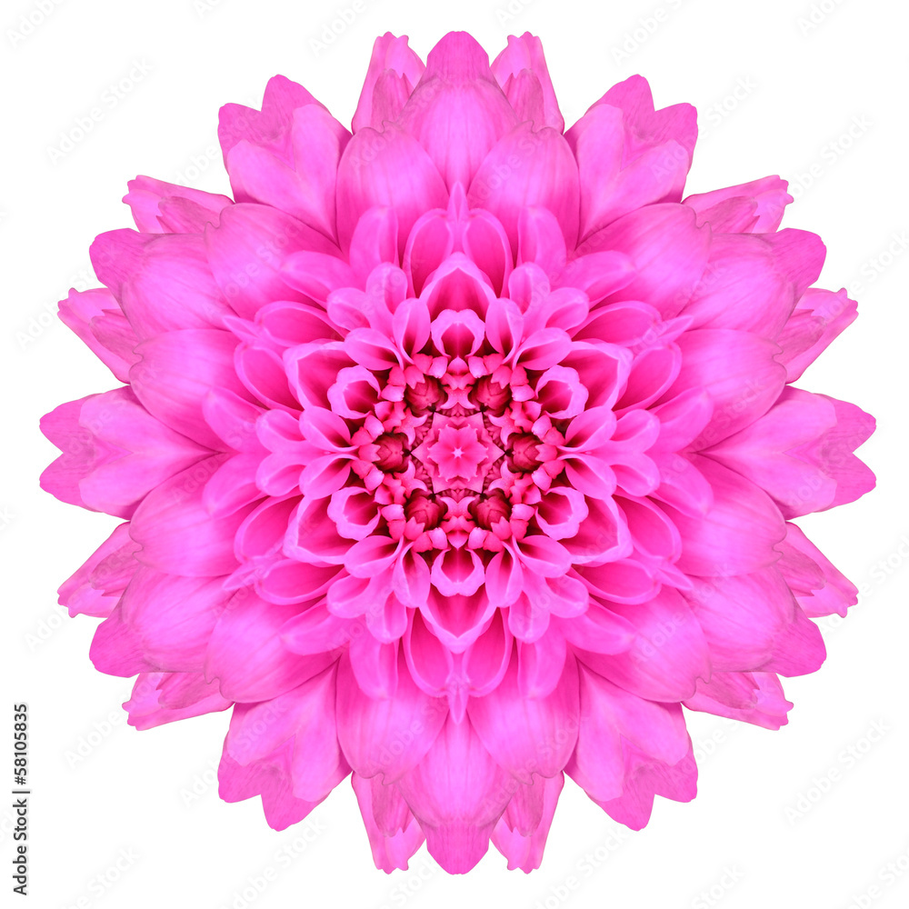 Kaleidoscopic Chrystanthemum Flower Mandala  Isolated on White