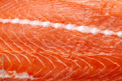 Fresh salmon fillet fish meat