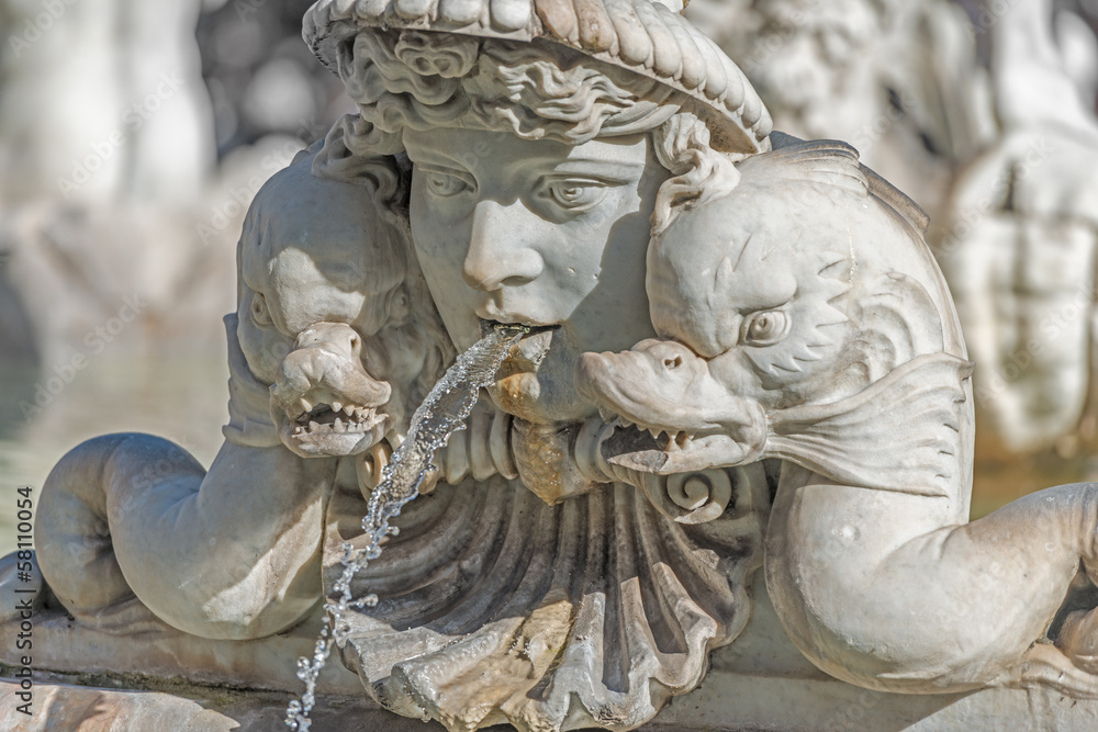 Naklejka premium Roma, fontana del Moro (part.)