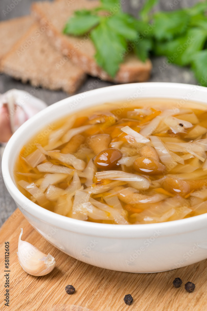 Russian cabbage soup (shchi) with wild mushrooms Russian cabbage soup (shchi) with wild mushrooms