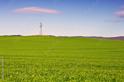 Wheat field valley