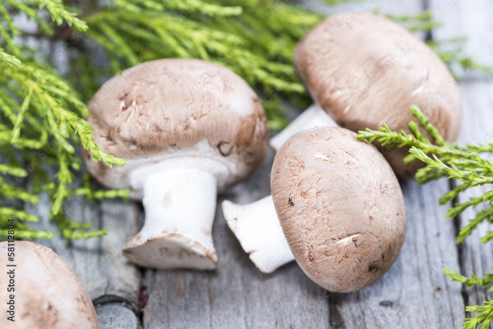 Mushrooms Mushrooms