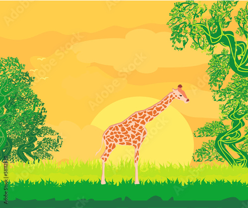 Giraffe in jungle landscape