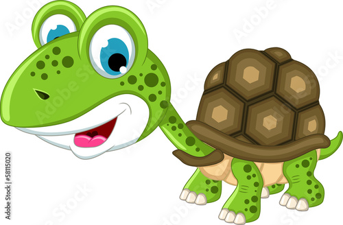 Cute turtle cartoon