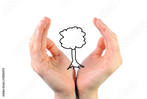 Tree in the hands