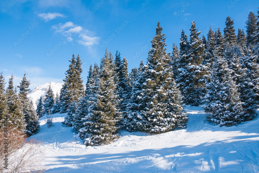 winter landscape winter landscape