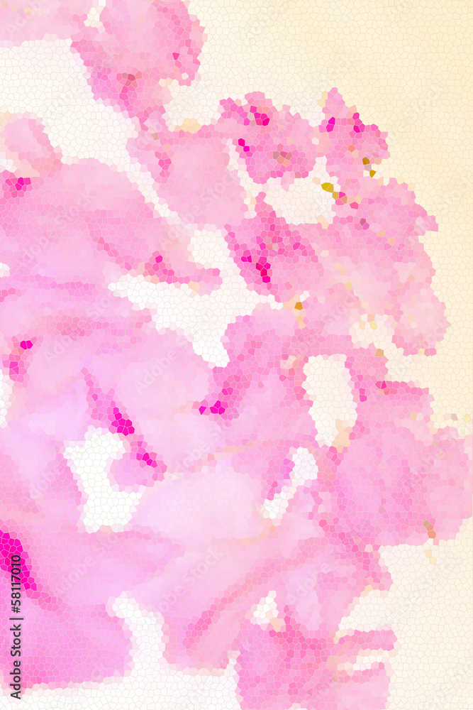 bougainvillea background in soft pink bougainvillea background in soft pink