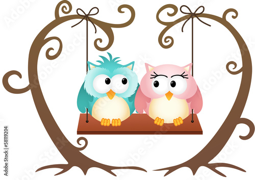 Cute couple owls in love on a swing