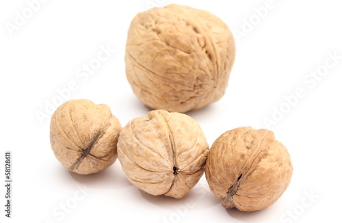 Brown and fresh walnuts on white background