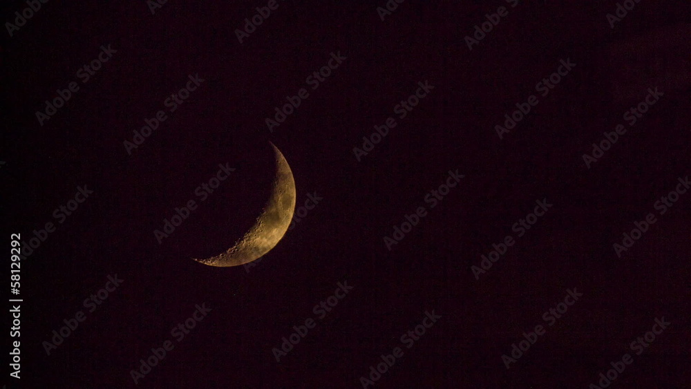 Moon Moon