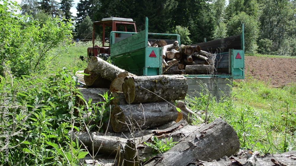 worker in the forest pile on trailer large sawn logs worker in the forest pile on trailer large sawn logs