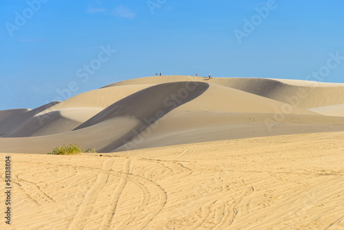 White sand dune  Mui Ne  Vietnam