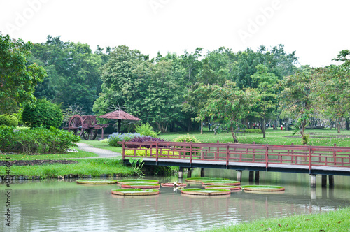 A bridge in the garden